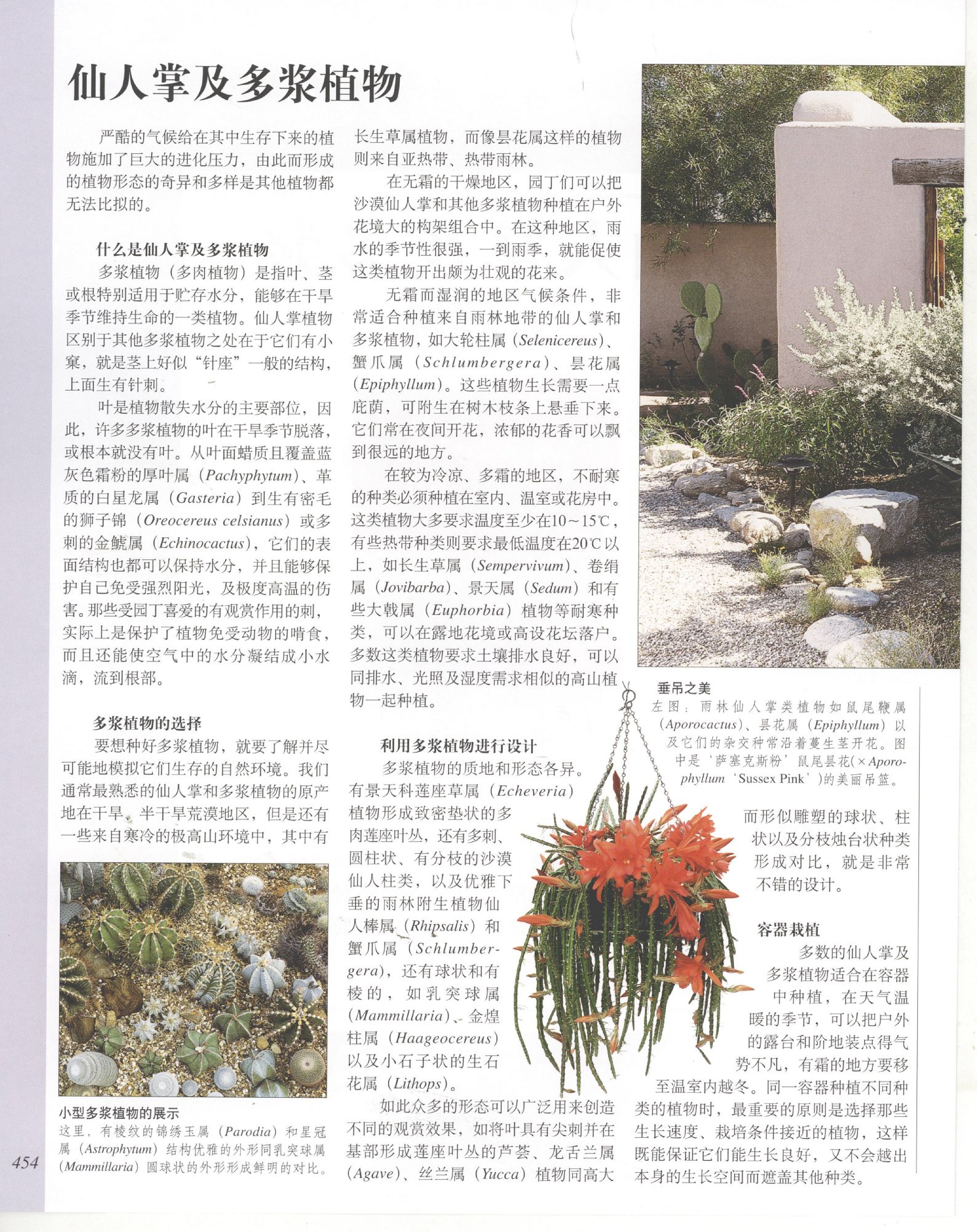 世界园林植物与花卉百科全书.11仙人掌及多浆植物.pdf 第2页