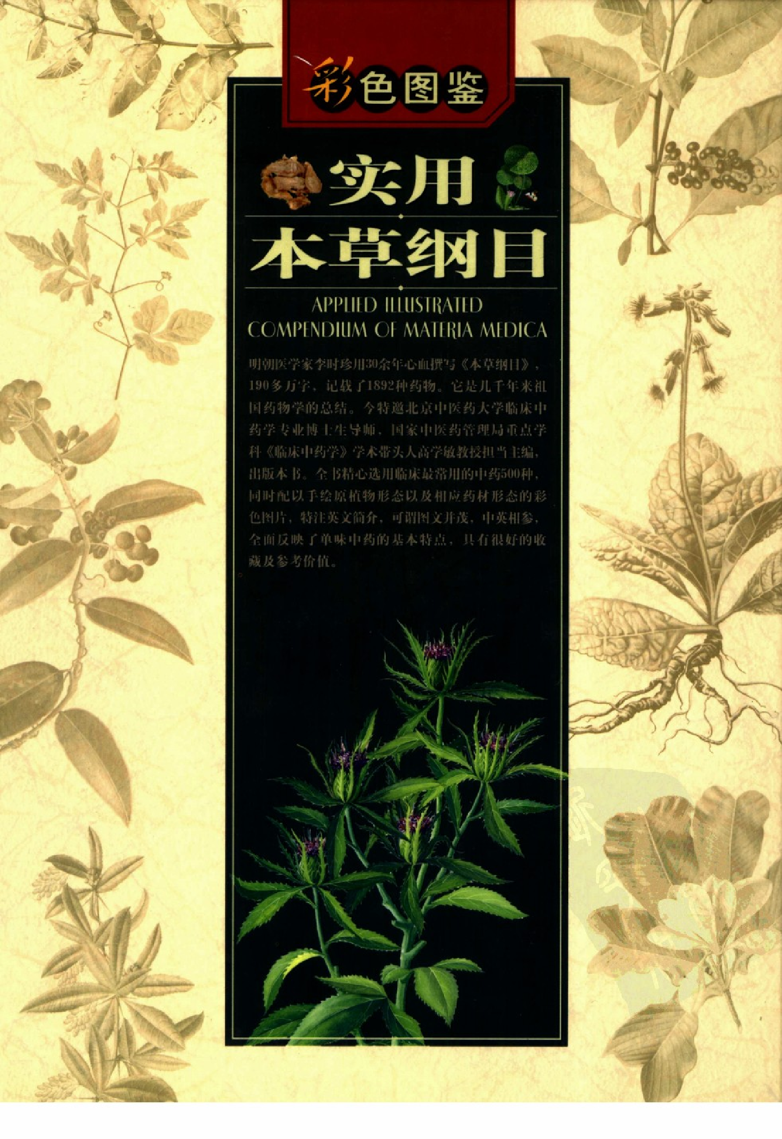 实用本草纲目彩色图鉴(第4卷).pdf 第2页