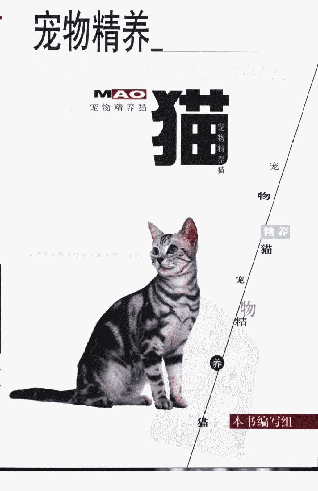 宠物精养++猫.pdf 第1页