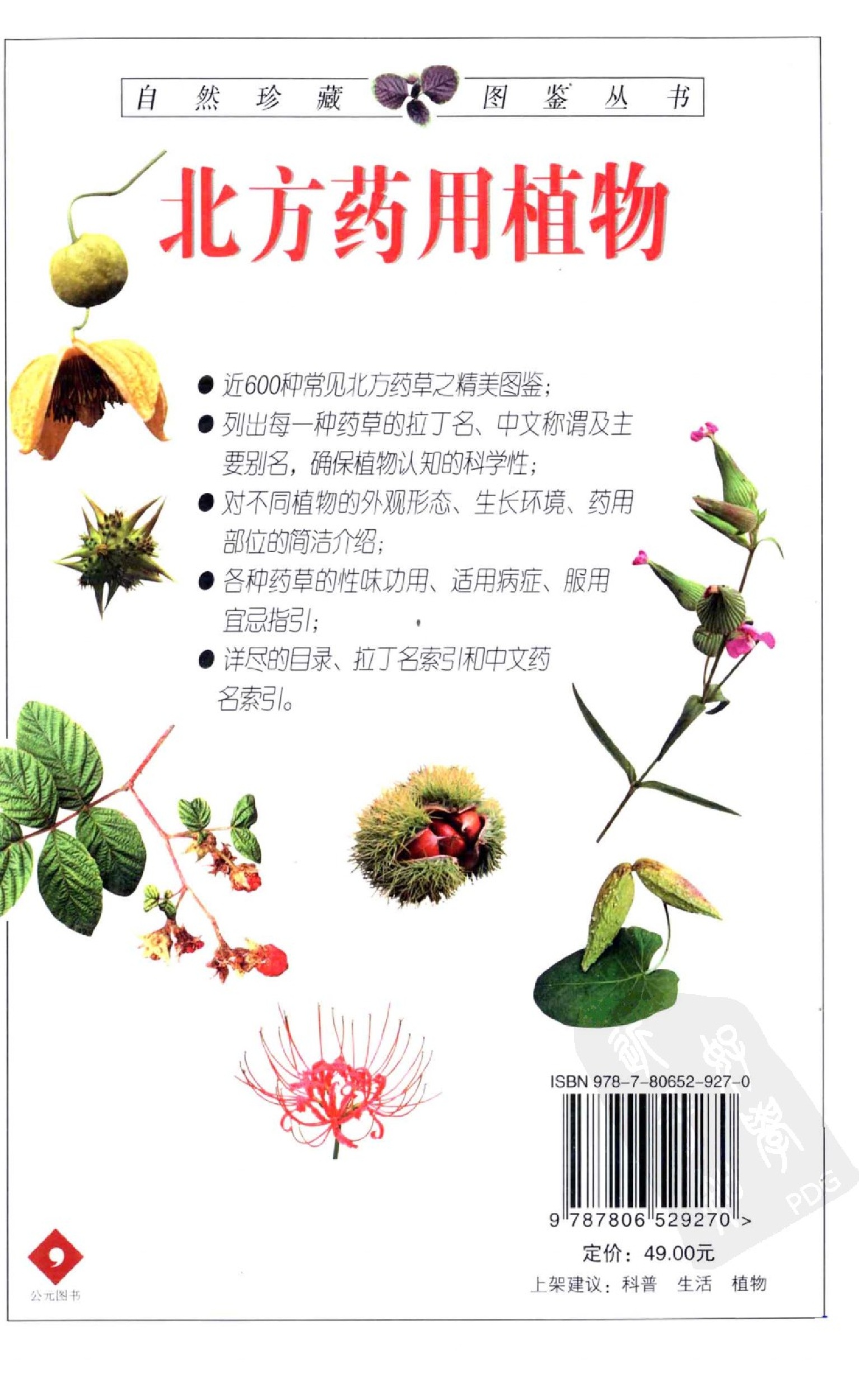 北方药用植物图鉴.pdf 第2页
