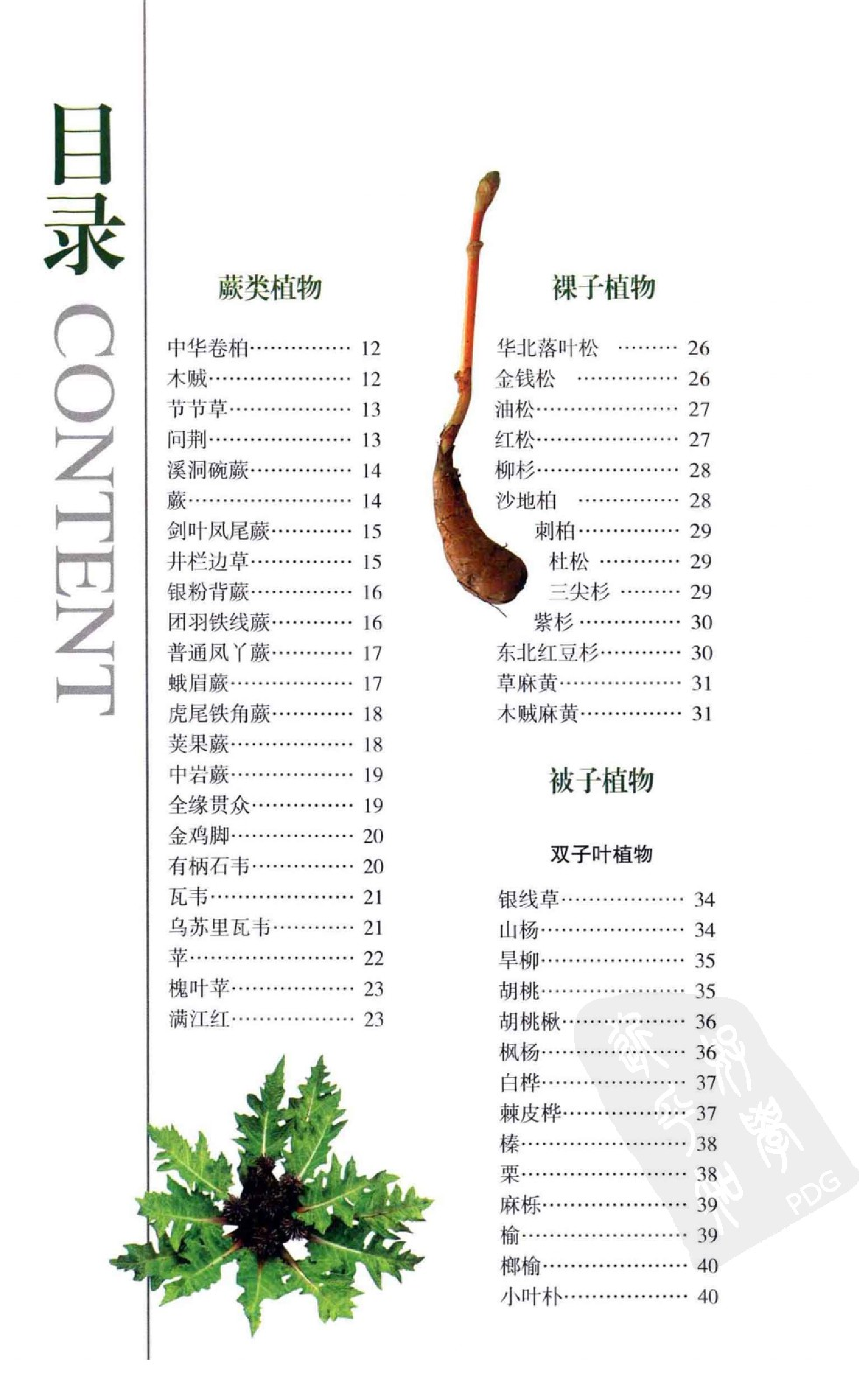 北方药用植物图鉴.pdf 第6页